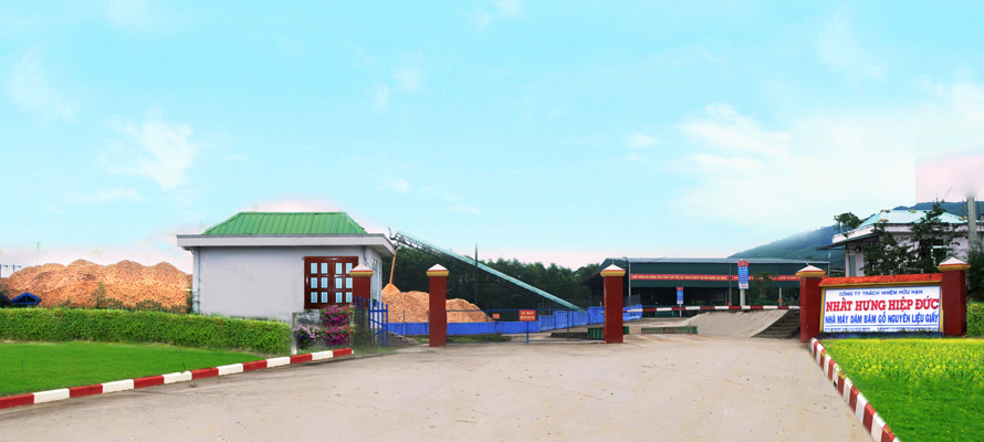 home-banner